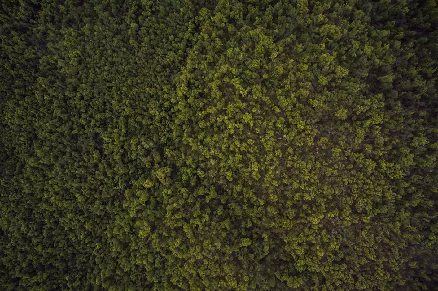 Dolorum ut id dolorem